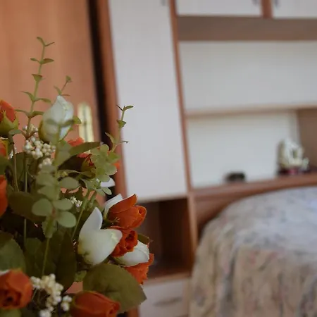 Apartament Central