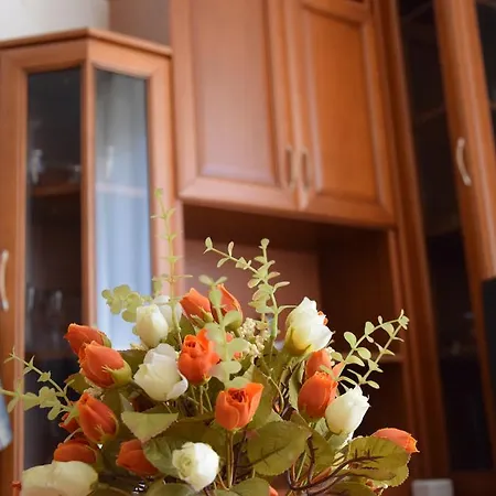 Apartament Central